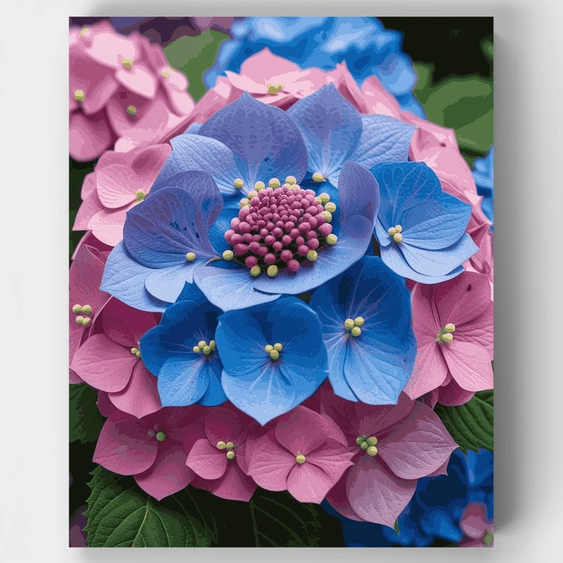 Vibrant Blue and Pink Hydrangeas - Paint by Numbers Kit
