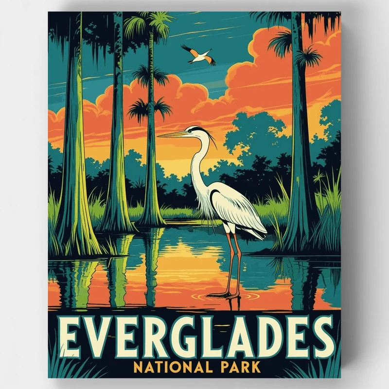 Everglades National Park Great Blue Heron Cypress Swamp - Paint by Numbers Kit