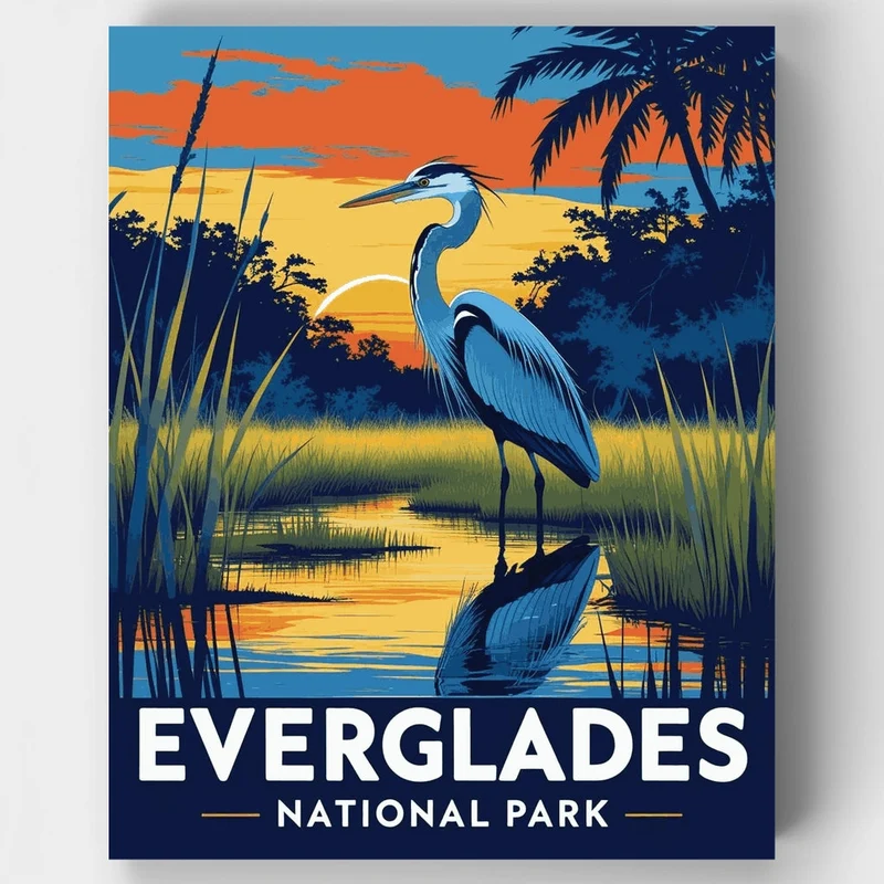 Everglades National Park Great Blue Heron Sunset Poster - Paint by Numbers Kit