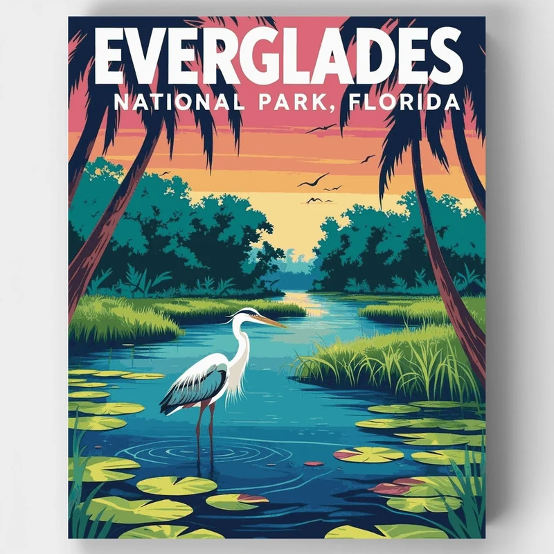 Everglades National Park Great Blue Heron Wetlands - Paint by Numbers Kit
