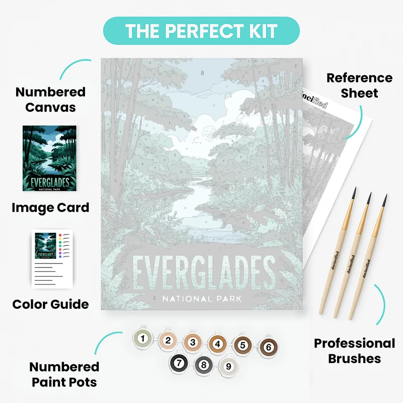 Everglades National Park Lush Waterway Poster - Paint by Numbers Kit