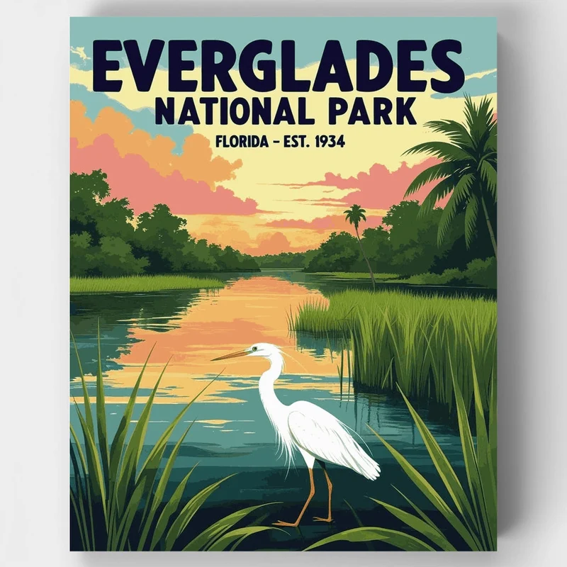 Everglades National Park - Paint by Numbers Kit