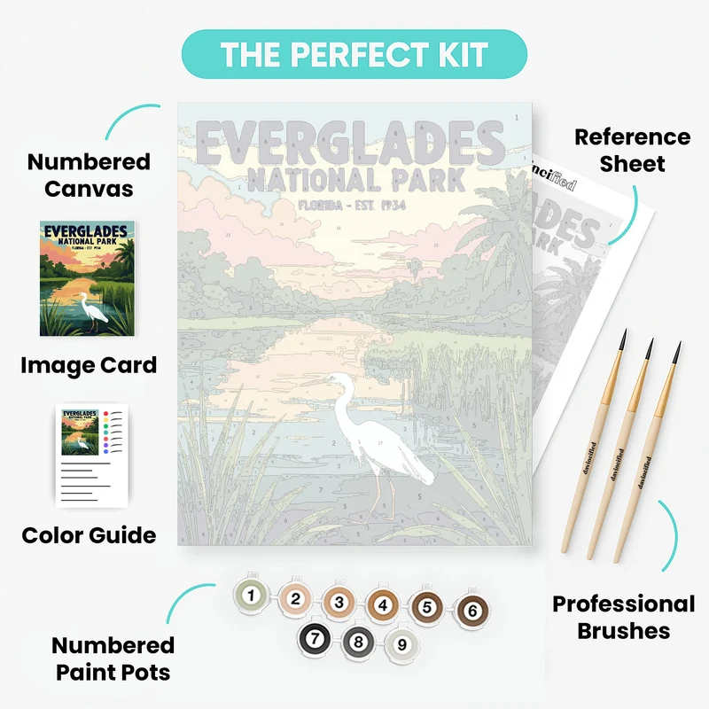 Everglades National Park - Paint by Numbers Kit