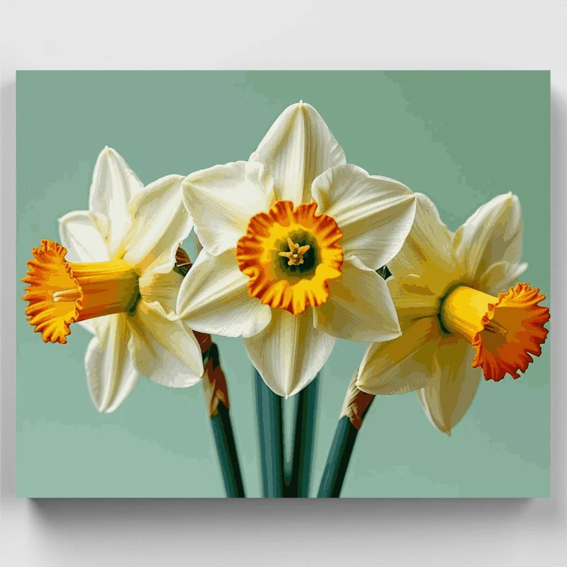 White Daffodils with Orange Centers - Paint by Numbers Kit