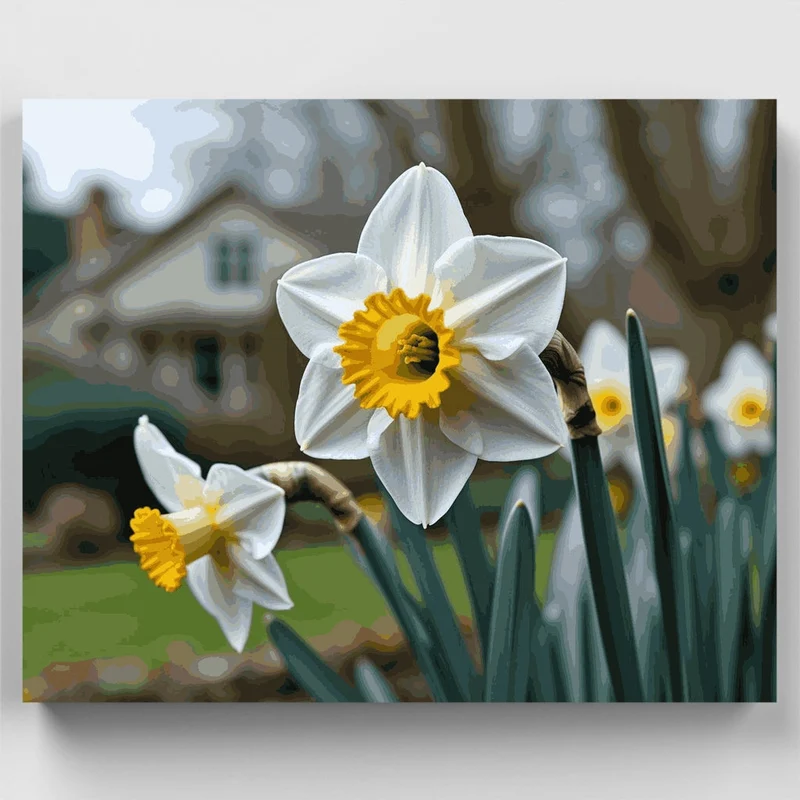 Spring Daffodils in Bloom - Paint by Numbers Kit