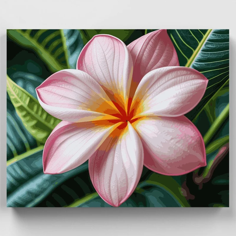 Pink Plumeria Tropical Flower - Paint by Numbers Kit