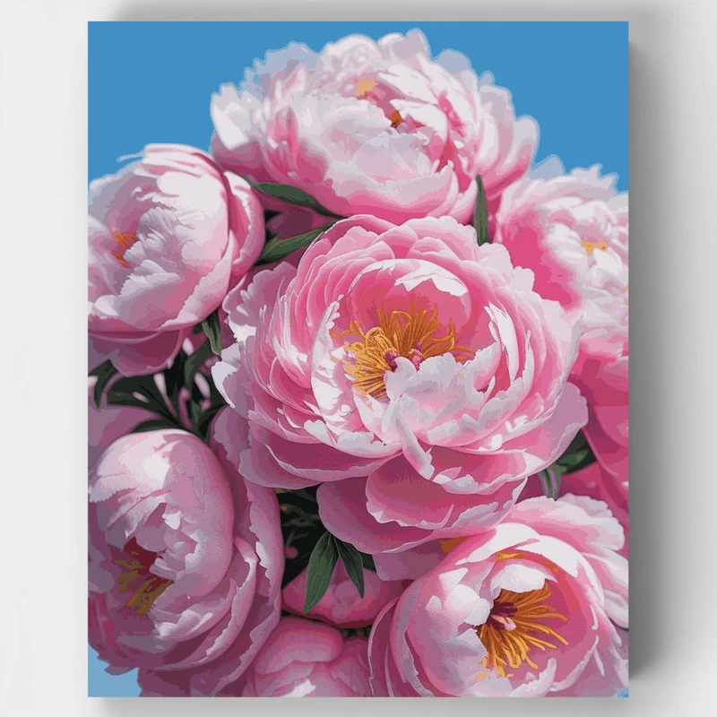Pink Soft Peonies Bouquet - Paint by Numbers Kit