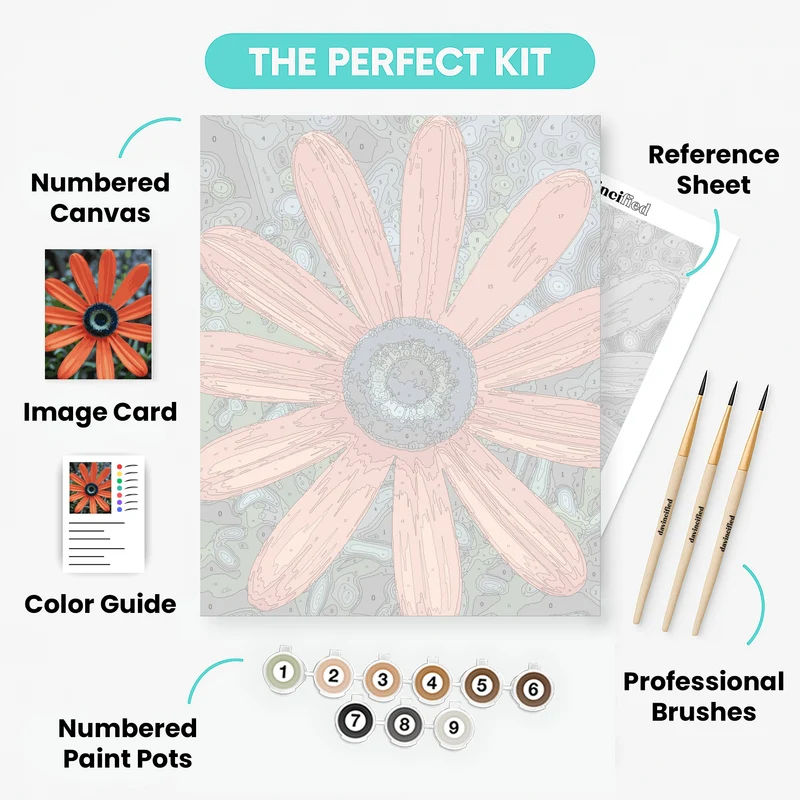 Orange Daisy with Intricate Blue Center - Paint by Numbers Kit