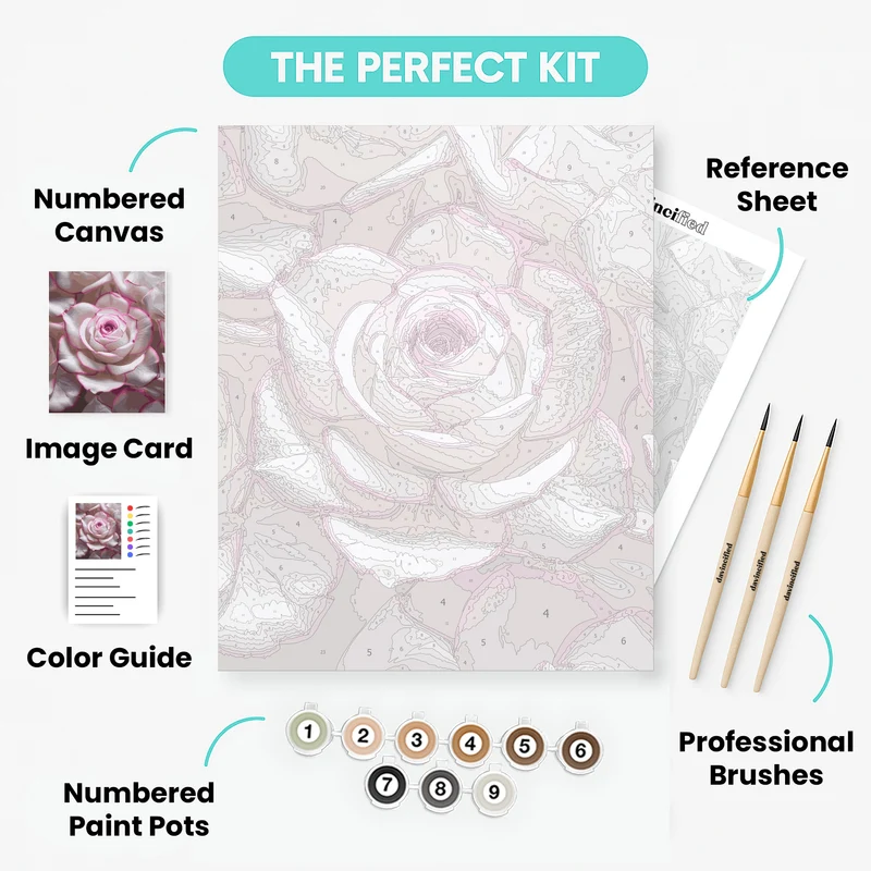 Elegant Pink-Edged Rose - Paint by Numbers Kit