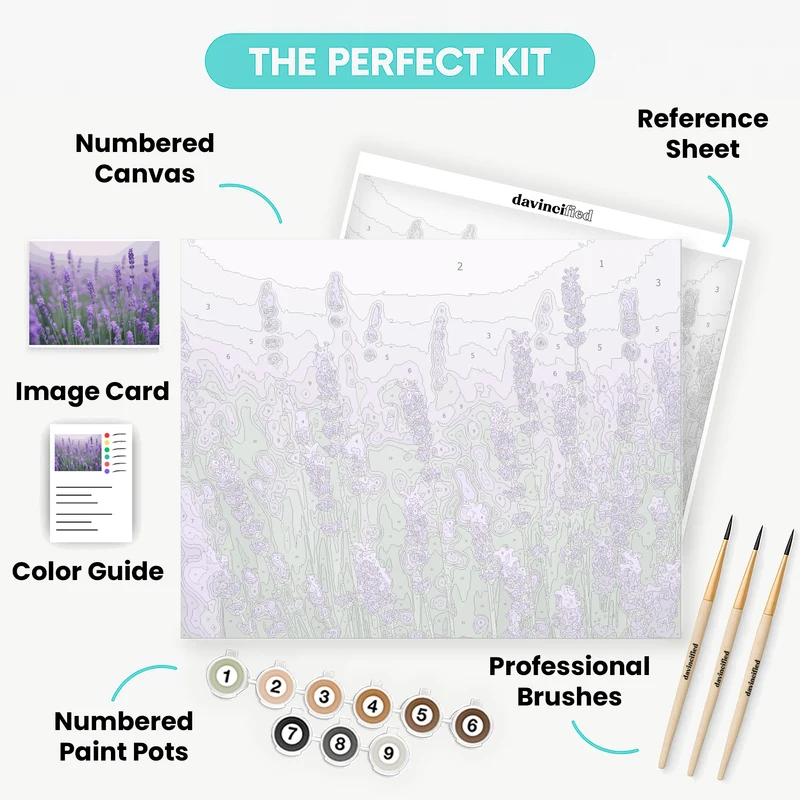 Lavender Field - Paint by Numbers Kit