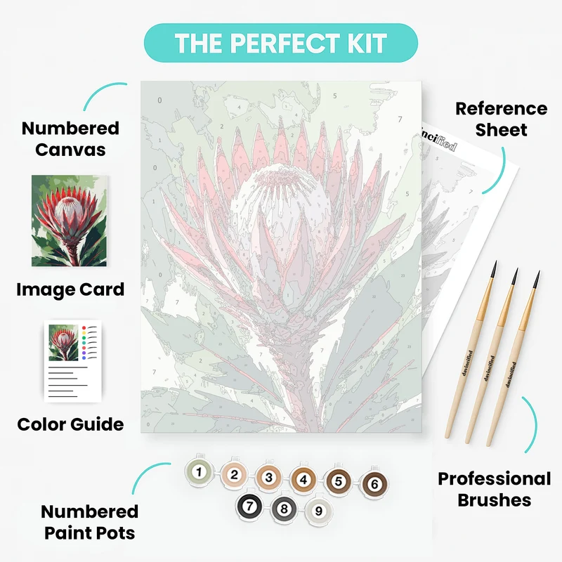 King Protea Flower - Paint by Numbers Kit