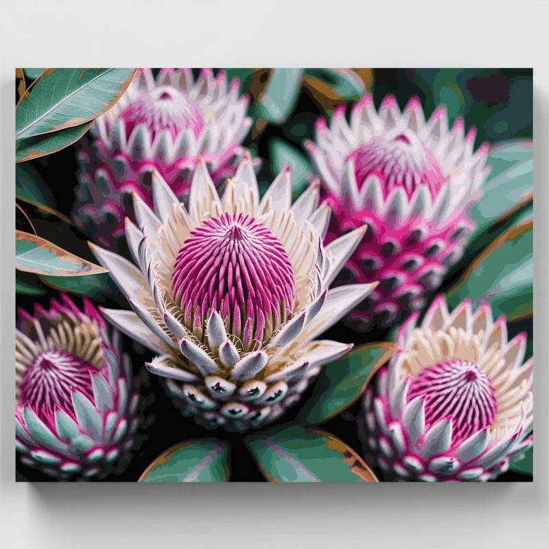 Exotic Protea Flower Collection - Paint by Numbers Kit