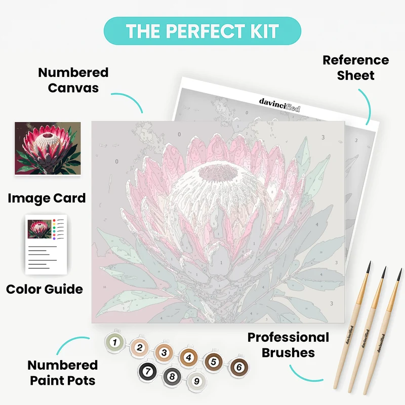 Majestic King Protea Bloom - Paint by Numbers Kit
