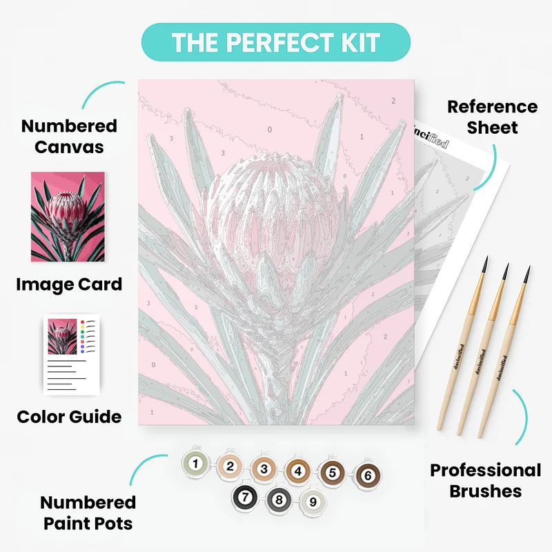 Pink Protea Flower - Paint by Numbers Kit