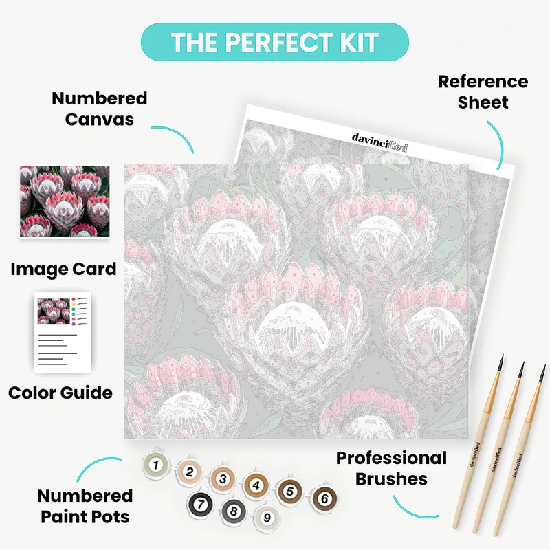 Pink Protea Flowers - Paint by Numbers Kit