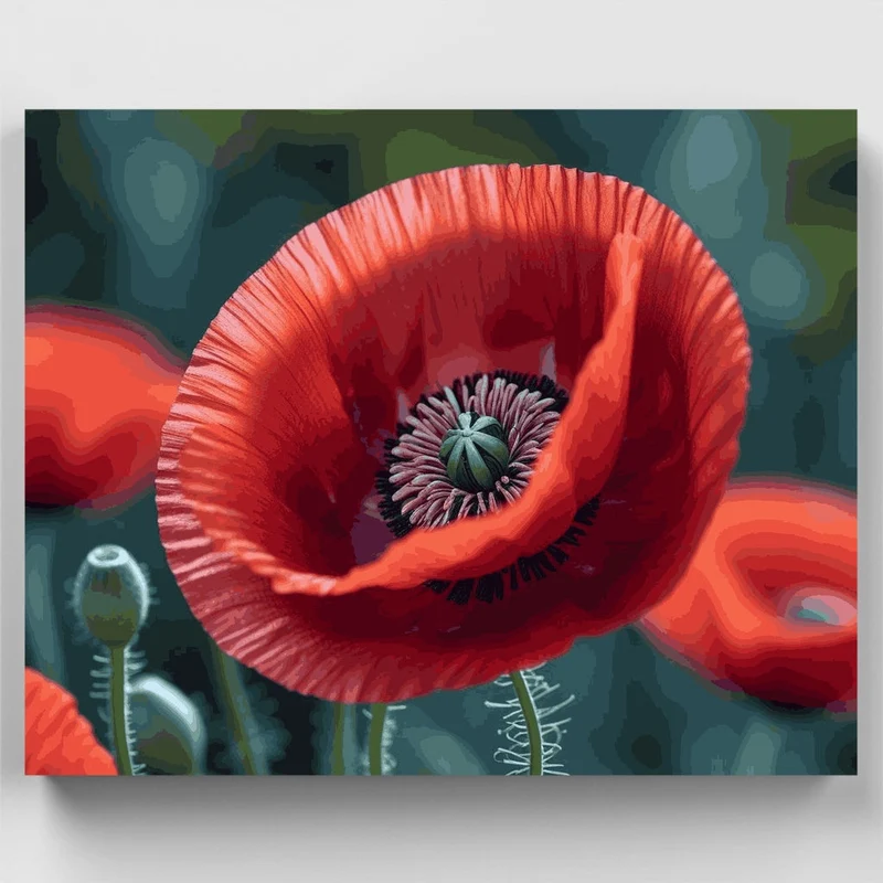 Red Poppy Flower - Paint by Numbers Kit