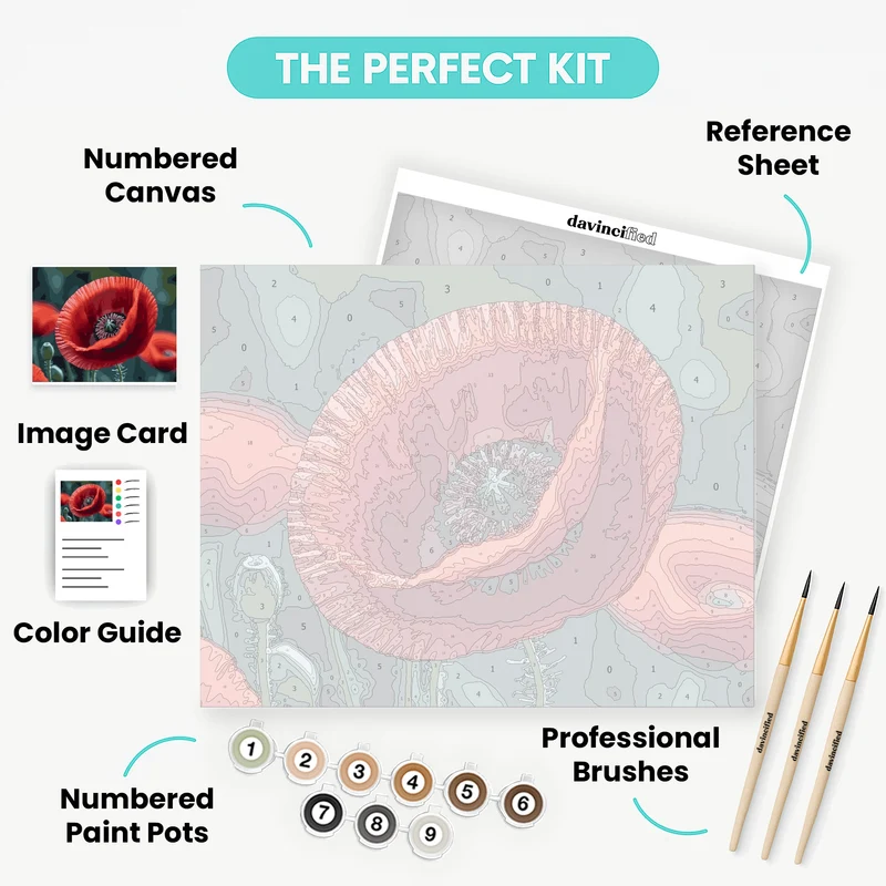 Red Poppy Flower - Paint by Numbers Kit