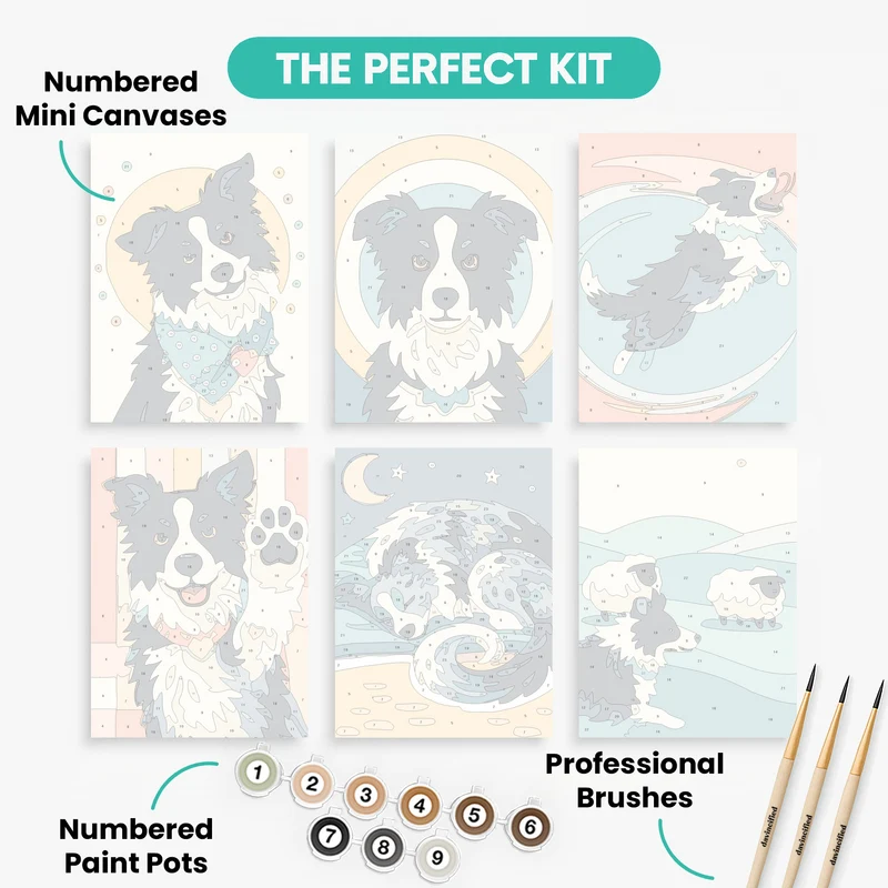 Border Collies - Mini Paint by Numbers Set