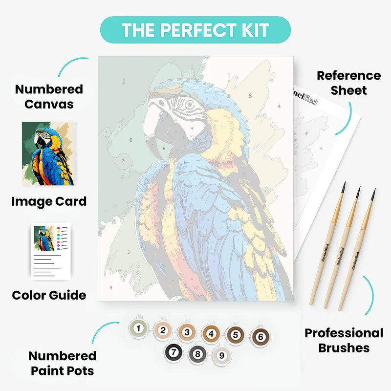 Blue and Gold Macaw - Paint by Numbers Kit