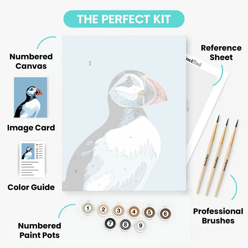 Puffin - Paint by Numbers Kit