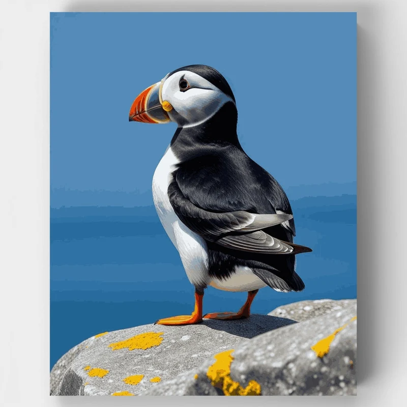 Puffin Portrait - Paint by Numbers Kit