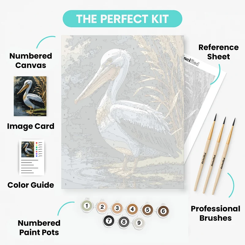Australian Pelican by the Wetlands - Paint by Numbers Kit