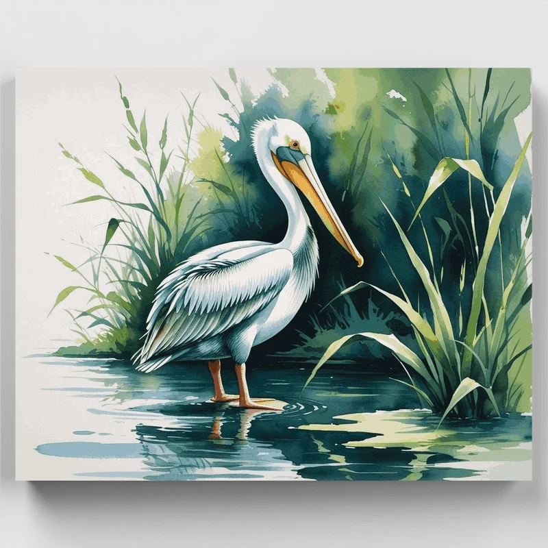 Pelican in Water - Paint by Numbers Kit