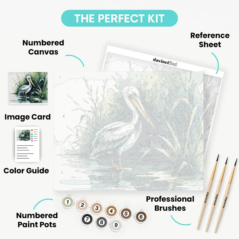 Pelican in Water - Paint by Numbers Kit