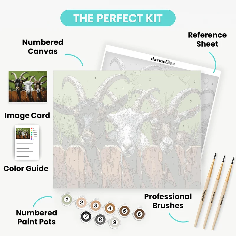 Three Goats at the Fence - Paint by Numbers Kit
