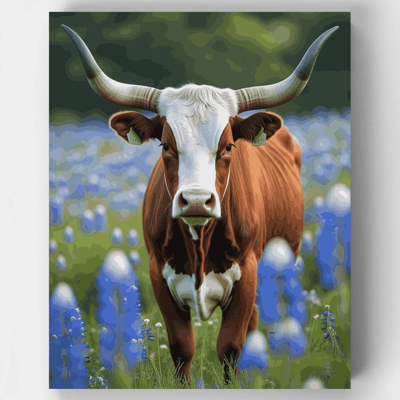 Longhorn Cow in Bluebonnet Field - Paint by Numbers Kit