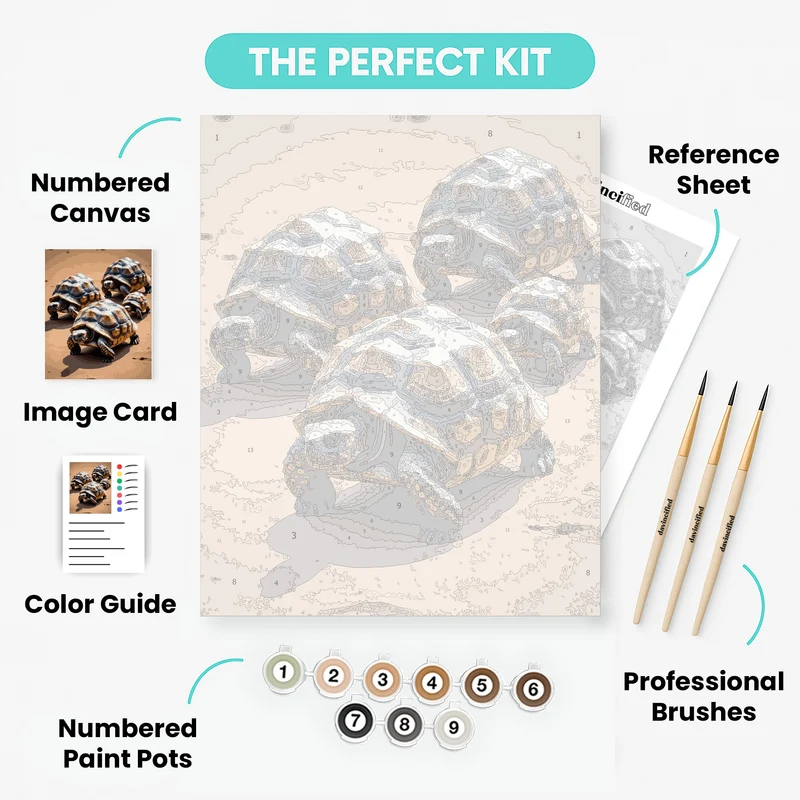 Desert Tortoises Quartet - Paint by Numbers Kit
