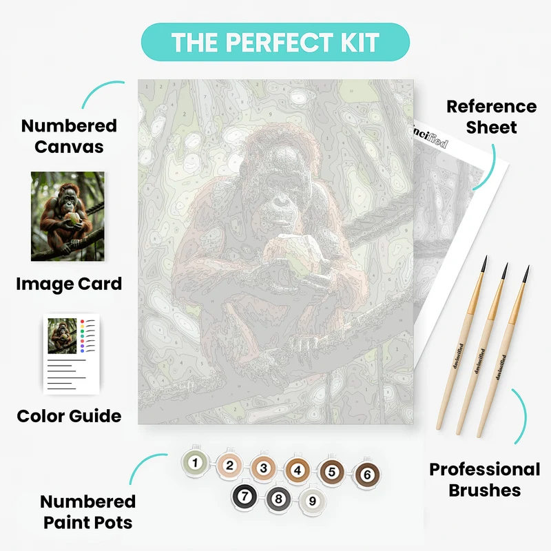 Orangutan with Coconut - Paint by Numbers Kit
