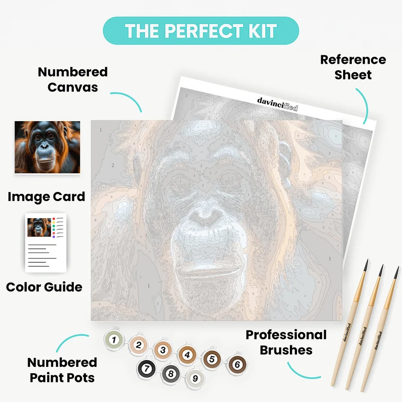Soulful Orangutan Close-Up - Paint by Numbers Kit