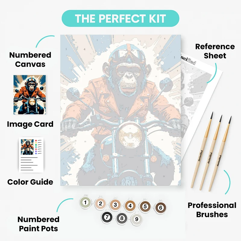 Chimpanzee Biker - Paint by Numbers Kit
