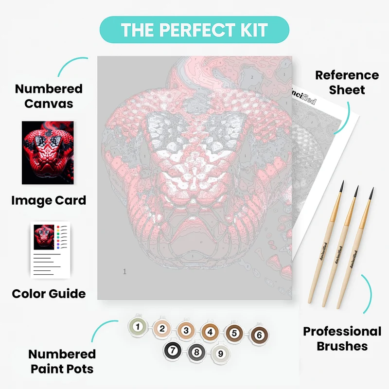 Vibrant Red Coral Snake - Paint by Numbers Kit