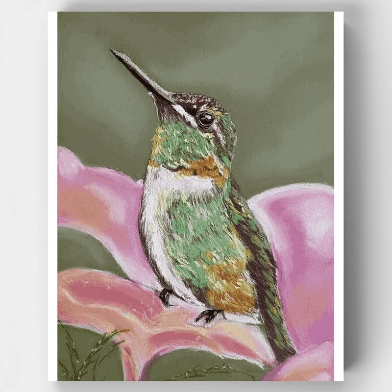 Hummingbird on Pink Flower - Paint by Numbers Kit