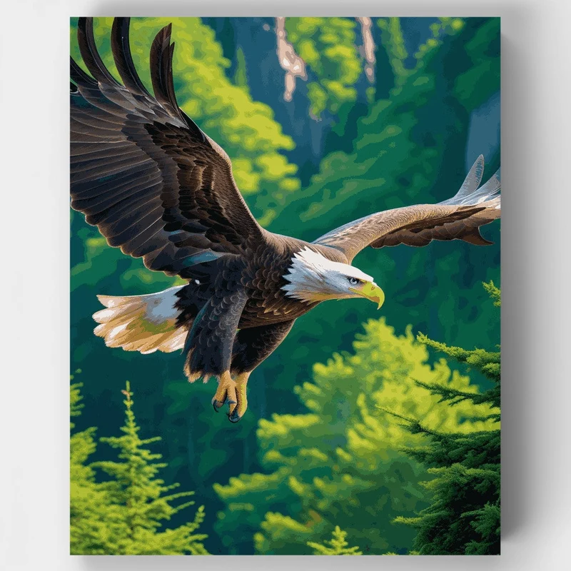Soaring Eagle Over Acadia - Paint by Numbers Kit