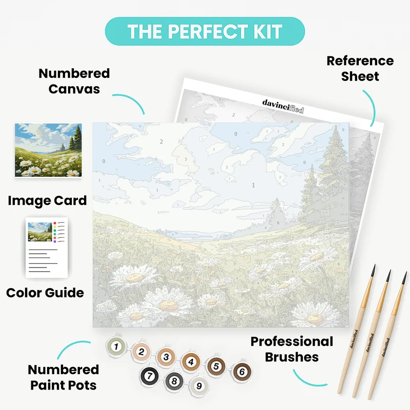Field of Daisies - Paint by Numbers Kit