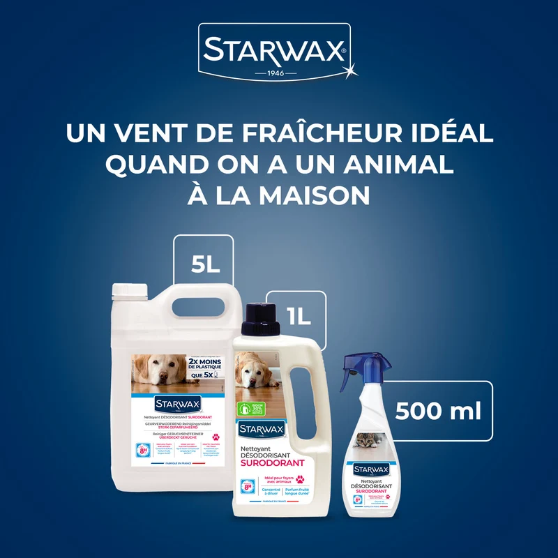 Lot de 3 Nettoyant désodorisant surodorant
