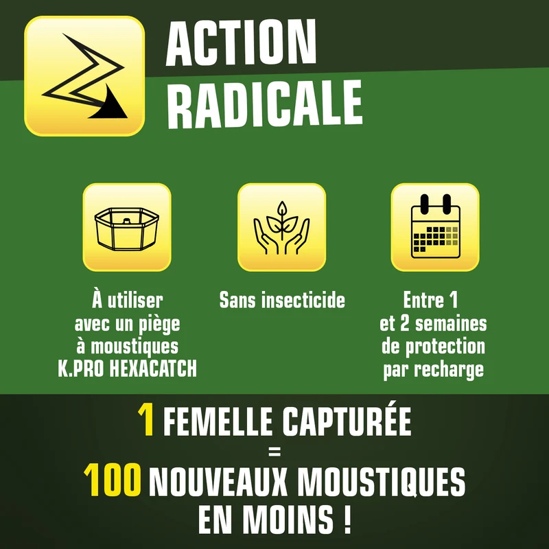 Pack de 10 recharges adhésives pour Pièges anti-ponte moustiques