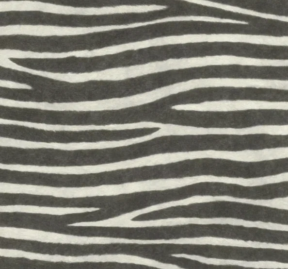 Papier peint intissé peau de zèbre African Queen III RASCH 751727