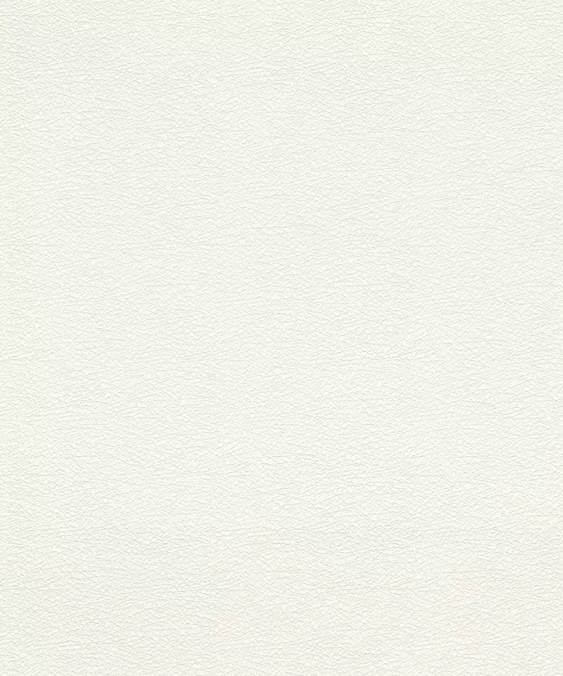 Papier peint intissé à structure résille en blanc 475517 RASCH