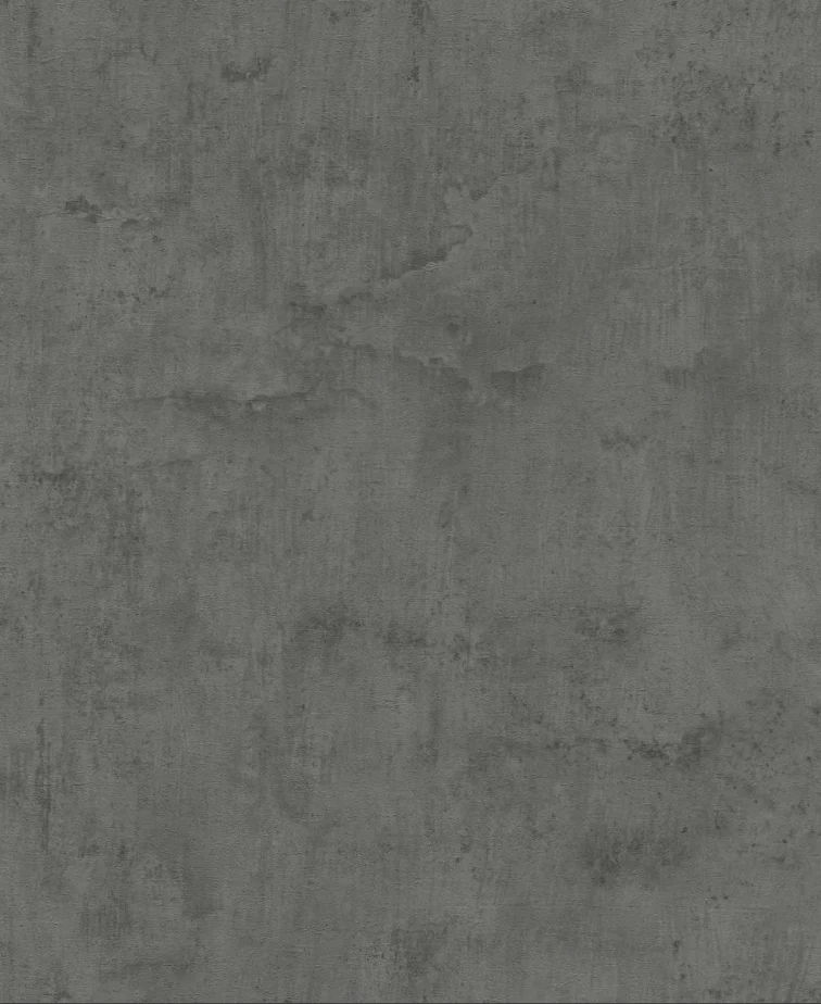 Papier peint intissé Rasch Tapetenwechsel 407365 naturel noir/gris 10,05 x 0,53 m