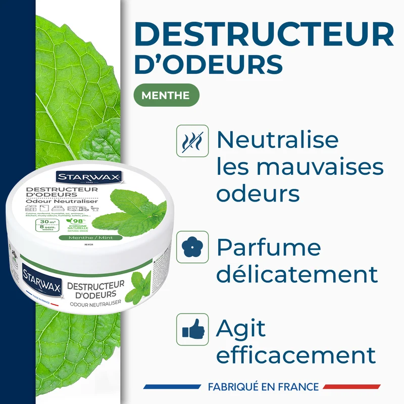 Destructeur d'odeurs Menthe