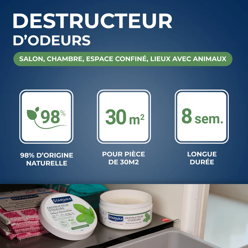 Destructeur d'odeurs Menthe