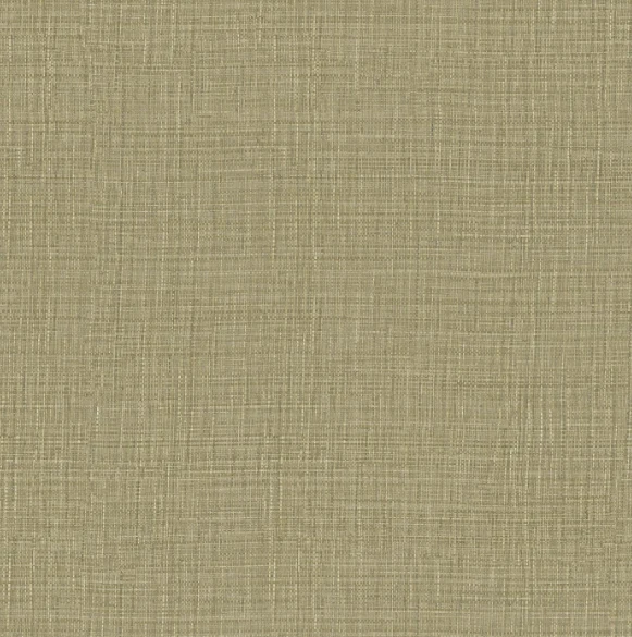 Collection de Papier Peint CASAMANCE - Palmadora
