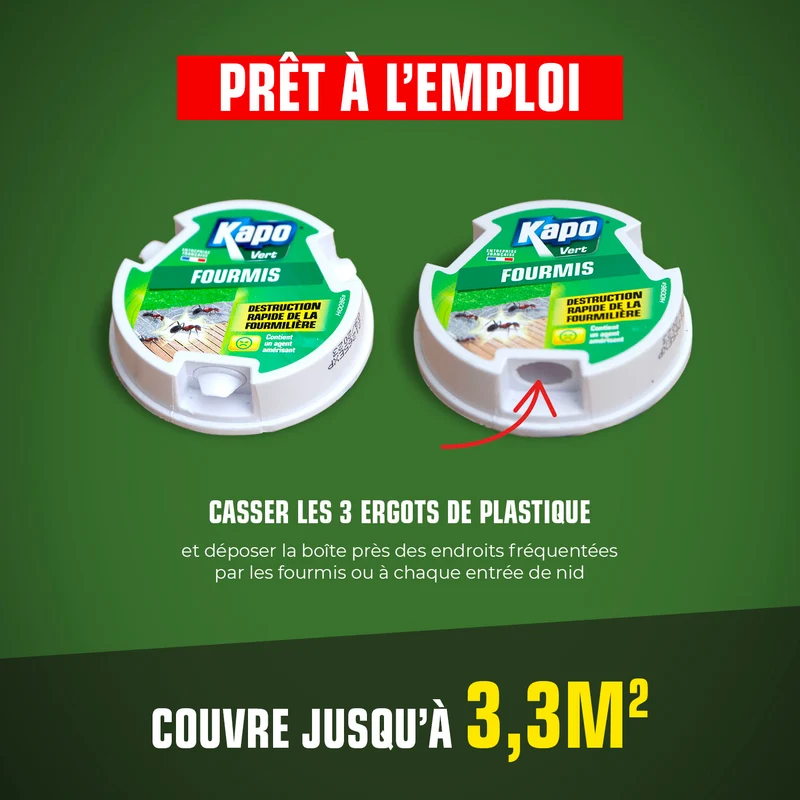 Boîte fourmis K.pro