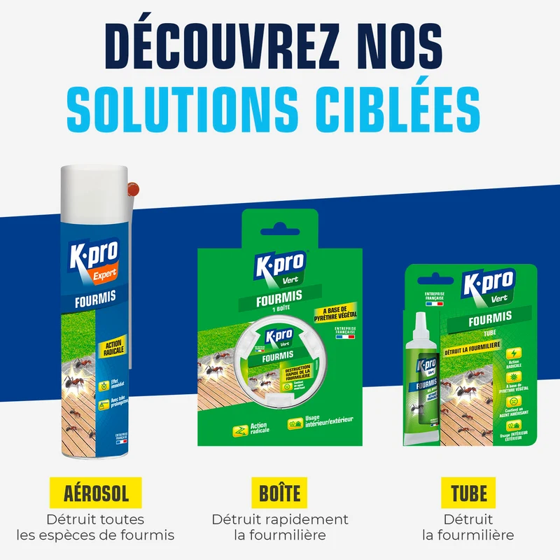 Boîte fourmis K.pro