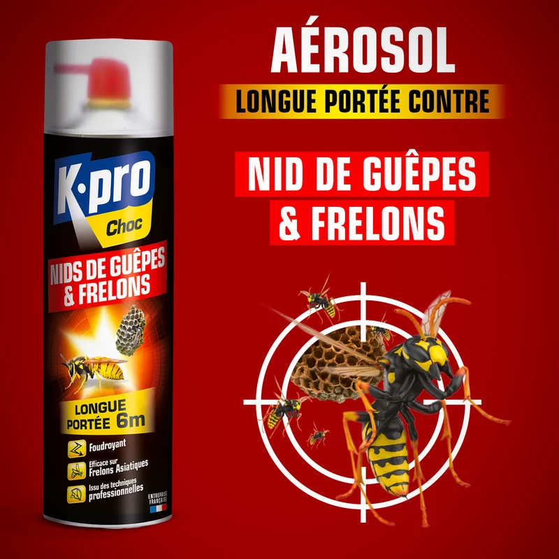 Aérosol foudroyant choc nids de guêpes et frelons
