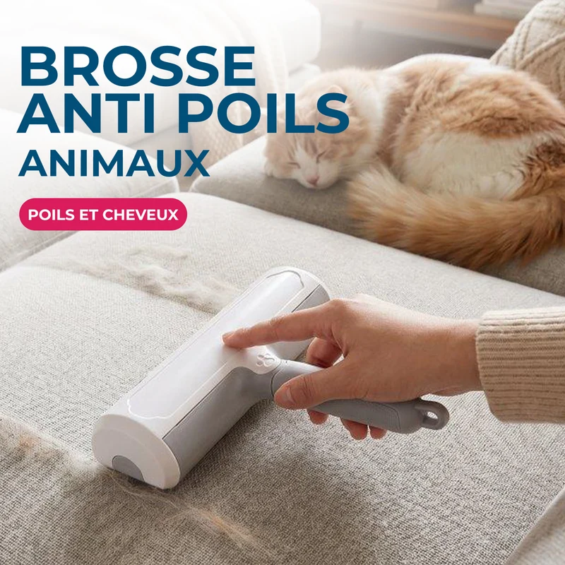 Brosse anti-poils animaux